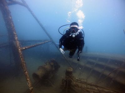 月半小夜曲的演奏视频