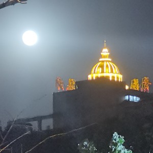 wulang的个人空间