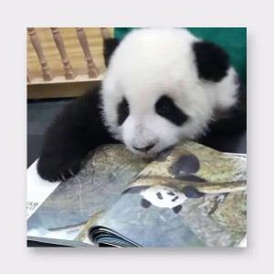 幽默曲的演奏视频