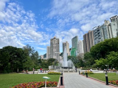 Tassel的演奏视频