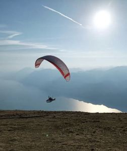 Flower Dance的演奏视频