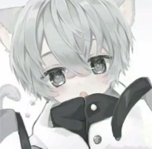 的演奏视频