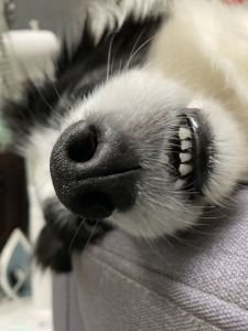 交换余生的演奏视频