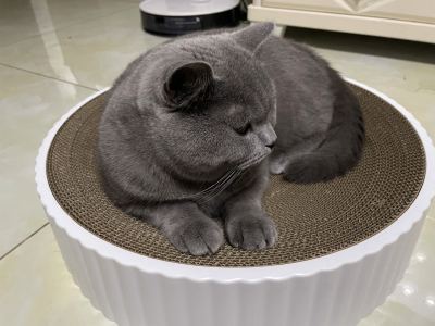 時代を越える想い的演奏视频