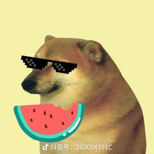 月光奏鸣曲第三乐章的演奏视频