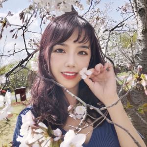 明妃曲的演奏视频