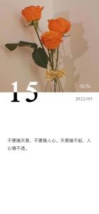 蜜雪冰城甜蜜蜜的演奏视频