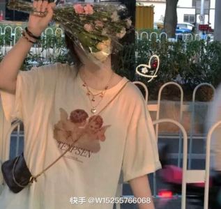 四小天鹅舞曲的演奏视频