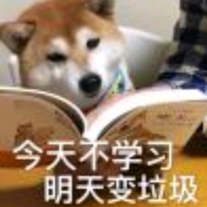 Summer的演奏视频