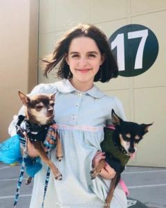 练习曲的演奏视频