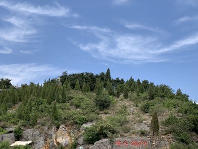 沉醉于风中的演奏视频