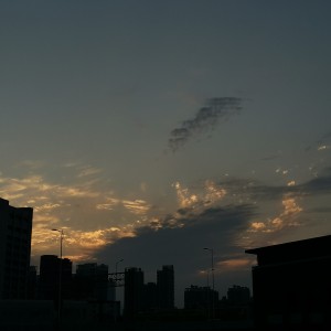 孤勇者的演奏视频