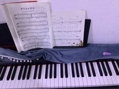 小步舞曲的演奏视频