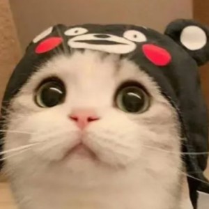 路小雨的演奏视频