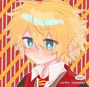 的演奏视频