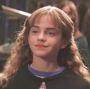 Hedwig's Theme的演奏视频