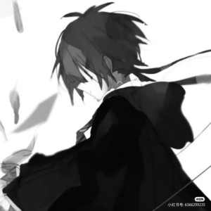 所念皆星河的演奏视频