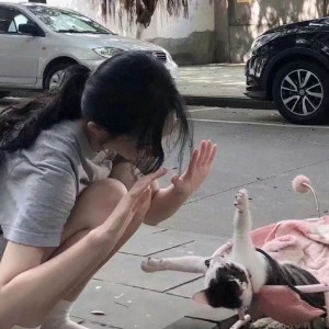 151****6827的钢琴谱