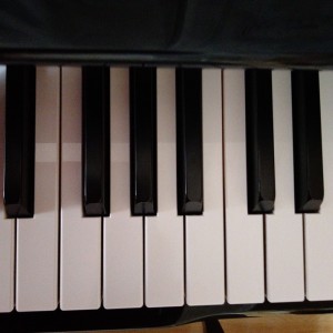 蜜雪冰城甜蜜蜜的演奏视频