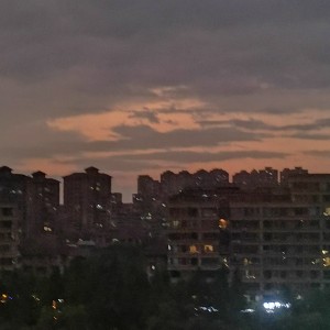 君をのせて的演奏视频