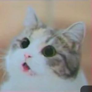 泡芙狗🐶的钢琴谱