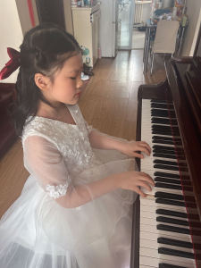 梦中的婚礼的演奏视频