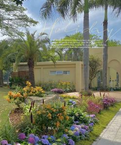 chuchu 🎹👧的钢琴谱