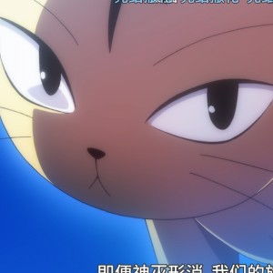 的演奏视频