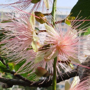 孤勇者的演奏视频