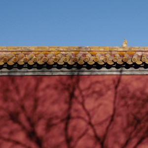 潋耳的钢琴谱