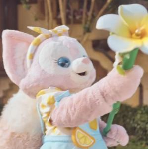 He's A Pirate的演奏视频