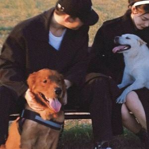 Who am i的演奏视频