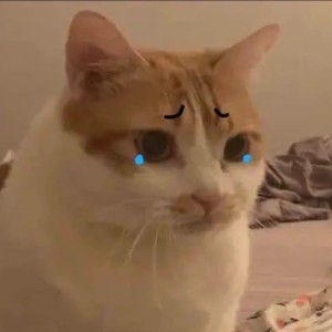 133****2680的钢琴谱