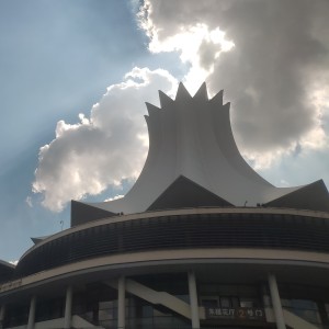 女儿情的演奏视频