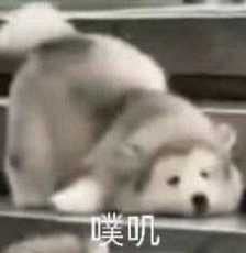 Flower Dance的演奏视频