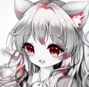 D大调卡农的演奏视频