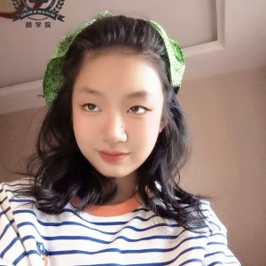 彩云追月的演奏视频