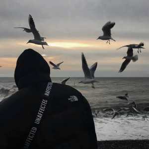 白月光与朱砂痣的演奏视频