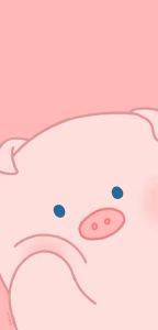 起风了的演奏视频