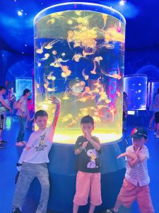 第48首的演奏视频