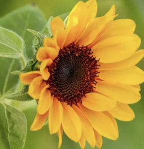 練武的女孩的個人空間