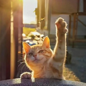 Time to Pretend的演奏视频