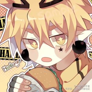 布拉格广场的演奏视频