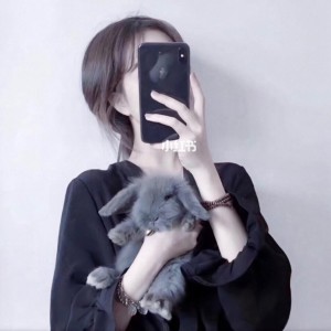 阿拉斯加海湾的演奏视频