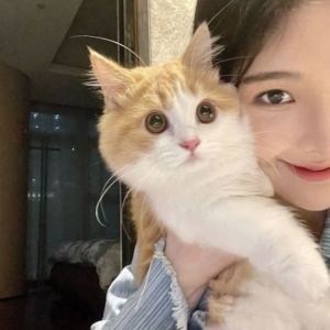 宋温良的钢琴谱