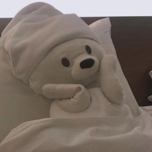 晴天的演奏视频