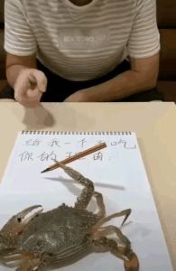 189****0116的钢琴谱