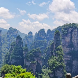 普通DISCO的演奏视频