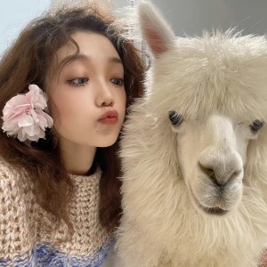 溯 (Reverse)的演奏视频