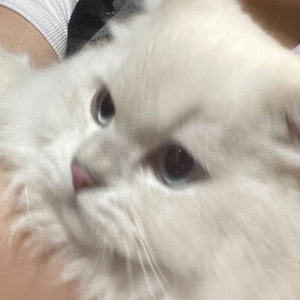 一吨小斤